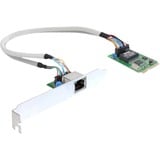 DeLOCK MiniPCIe I/O PCIe full size 1 x Gigabit Lan netwerkadapter Lite retail