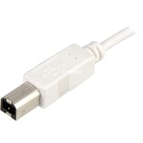Sharkoon USB 2.0 Kabel, USB-A > USB-B Wit, 0,5 meter