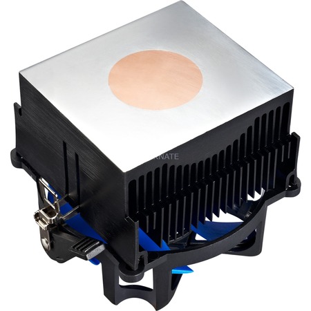 BETA 40