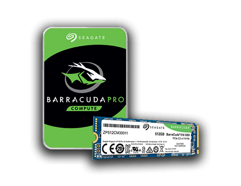 barracuda