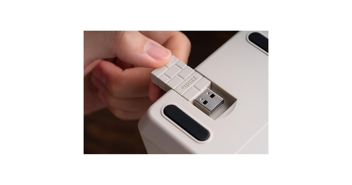 8BitDo IBM Bundel, gaming toetsenbord Grijs/donkerrood, US lay-out ...