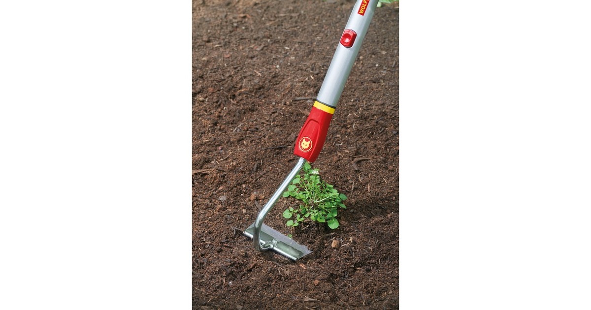 Acquista WOLF-Garten Sarchiatore 71AAA010650 HU-M 10 10 Cm Wolf Combisystem Multi Star 1662490