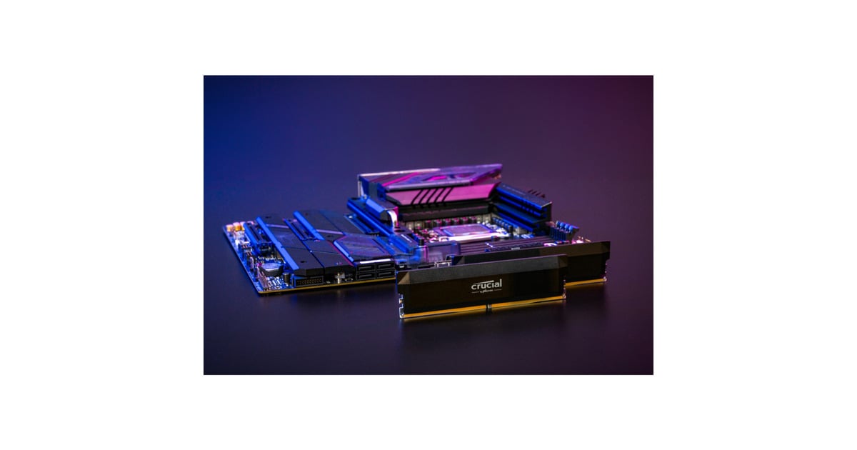 Crucial PRO OC 32 GB DDR5-6000 (2x 16 GB) werkgeheugen Zwart