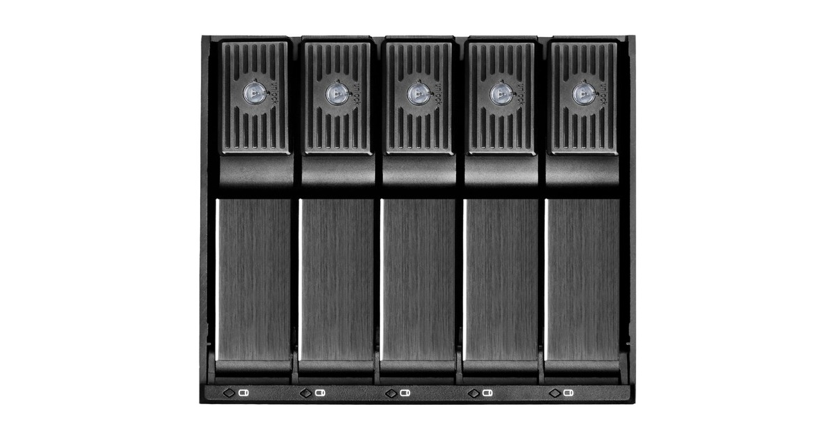 Silverstone Technologie SST-FS305-12G - kopen bij