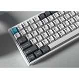 Keychron Cherry Profile Double - Shot PBT Full Set Keycaps - Grey, White, and Blue Grijs/wit, 218 stuks