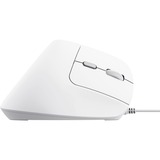 Trust Bayo II Bedrade Ergonomische muis Wit, 800 dpi - 2400 dpi