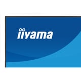 iiyama ProLite XB2796QSC-B1 27" monitor Zwart (mat), 75 Hz, HDMI, USB-C, Audio