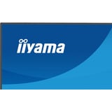 iiyama ProLite X2493HSU-B1 23.8" monitor Zwart (mat), 120 Hz, HDMI, DisplayPort, USB, Audio