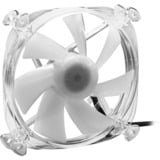 Sharkoon SHARK Disc RGB Fan case fan Transparant