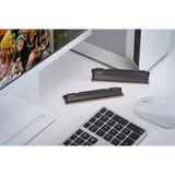 KLEVV 32 GB DDR5-6000 (2x 16 GB) Kit werkgeheugen Zwart, KD5AGU880-60A300L, FIT V, XMP 3.0, EXPO