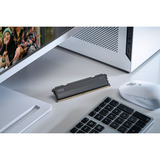 KLEVV FIT V 32 GB DDR5-6000 (2x 16 GB) werkgeheugen Zwart, KD5AGU880-60A300L, XMP 3.0, EXPO