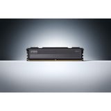 KLEVV FIT V 32 GB DDR5-6000 (2x 16 GB) werkgeheugen Zwart, KD5AGU880-60A300L, XMP 3.0, EXPO