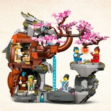 LEGO Ninjago - Altaar van de Stenen Draak Constructiespeelgoed 71819