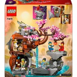 LEGO Ninjago - Altaar van de Stenen Draak Constructiespeelgoed 71819