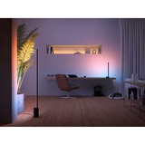 Philips Hue White and Color Gradient Signe vloerlamp Zwart, 2000K - 6500K, Dimbaar