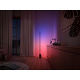 Philips Hue White and Color Gradient Signe vloerlamp Zwart, 2000K - 6500K, Dimbaar