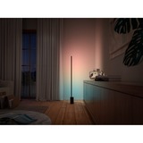 Philips Hue White and Color Gradient Signe vloerlamp Zwart, 2000K - 6500K, Dimbaar