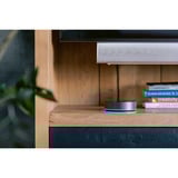 Athom Homey Pro (2026) + Energie Dongle basisstation Zwart