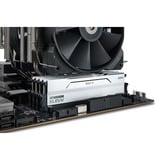 KLEVV 32 GB DDR5-6000 (2x 16 GB) Kit werkgeheugen Wit, KD5AGU880-60A300I, BOLT V, XMP 3.0, EXPO