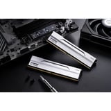 KLEVV BOLT V 32 GB DDR5-6000 (2x 16 GB) werkgeheugen Wit, KD5AGU880-60A300I, XMP 3.0, EXPO