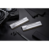 KLEVV BOLT V 32 GB DDR5-6000 (2x 16 GB) werkgeheugen Wit, KD5AGU880-60A300I, XMP 3.0, EXPO
