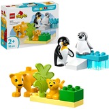 LEGO DUPLO - Families van wilde dieren: pinguïns en leeuwen Constructiespeelgoed 10442
