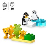 LEGO DUPLO - Families van wilde dieren: pinguïns en leeuwen Constructiespeelgoed 10442