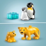 LEGO DUPLO - Families van wilde dieren: pinguïns en leeuwen Constructiespeelgoed 10442