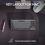 Logitech MX Mechanical Mini voor Mac, toetsenbord Donkergrijs, US lay-out, Cherry MX-Technologie