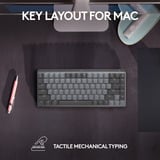 Logitech MX Mechanical Mini voor Mac toetsenbord Donkergrijs, US-International lay-out (QWERTY), Cherry MX-Technologie, 80% (TKL)	