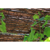 Nature Wilgenmat - afschermgraad 3/5, 1 x 3 meter begrenzing Houtkleur