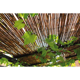 Nature Wilgenmat - afschermgraad 3/5, 1 x 3 meter begrenzing Houtkleur