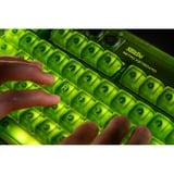 8BitDo Retro 87 Mechanical Keyboard - Xbox Edition Groen, US lay-out (QWERTY), Kailh Box Jellyfish X, 80% (TKL)	, ABS keycaps, Bluetooth 5.0, Wireless 2.4G, USB