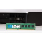 Crucial 8 GB DDR3-1600 werkgeheugen CT102464BD160B, Lite retail
