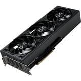 Gainward  grafische kaart 