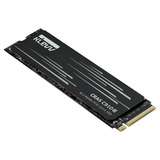 KLEVV CRAS C910G 1 TB SSD Zwart, K01TBM2SP0-10G, PCIe Gen 4.0 x4, NVMe 2.0