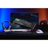 KLEVV CRAS C910G 1 TB SSD Zwart, K01TBM2SP0-10G, PCIe Gen 4.0 x4, NVMe 2.0