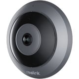 Reolink W520 360° panoramische fisheye camera Grijs, 2.4 GHz/5 GHz WiFi, LAN