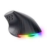 Trust GXT 145 Rexxa verlichte ergonomisch gaming muis Zwart, 200-12800 Dpi