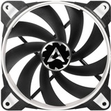 Arctic BioniX F140 case fan Zwart/wit, 4-pin PWM-aansluiting