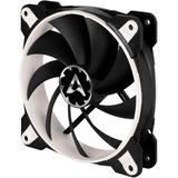 Arctic BioniX F140 case fan Zwart/wit, 4-pin PWM-aansluiting