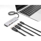 DeLOCK USB 10 Gbps USB-C Hub usb-hub Grijs, 2x USB-A 3.2 (10 Gbit/s), 2x USB-C 3.2 (10 Gbit/s)