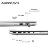 HP EliteBook 6 G1i AI (AD3P9ET) 13.3"  laptop Zilver | Ultra 5 225U | Intel Graphics | 16 GB | 512 GB SSD