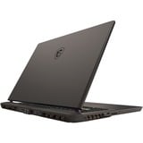 MSI Vector 17 HX A14VGG-216NL 17"  gaming laptop Grijs | i9-14900HX | RTX 4070 | 16 GB | 1 TB SSD
