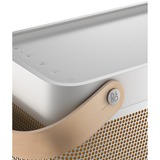 Bang & Olufsen Beolit 20 luidspreker Grijs, Bluetooth, Qi, USB-C