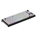 Hator Skyfall Wireless, gaming toetsenbord Zwart, US lay-out, HATOR Aurum Lemon, 80% (TKL), RGB, Double shot ABS, Hot-swap, 2.4GHz / Bluetooth / USB-C