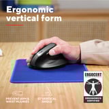 Trust Bayo II Ergonomische draadloze muis Zwart, 800 dpi - 2400 dpi