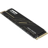 KLEVV CRAS C925G 1 TB SSD Zwart, K01TBM2SP0-25G, PCIe Gen 4.0 x4, NVMe 2.0