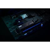 KLEVV CRAS C925G 1 TB SSD Zwart, K01TBM2SP0-25G, PCIe Gen 4.0 x4, NVMe 2.0