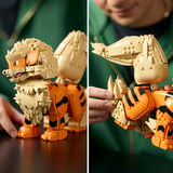 LEGO Pokémon - Arcanine Constructiespeelgoed 72160
